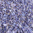 PETAL-SWATCH-SP-Amethyst-Confetti-700px-web.jpg