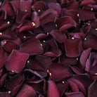 PETAL-SWATCH-SP-Burgundy-Rose-LP-700px-web.jpg