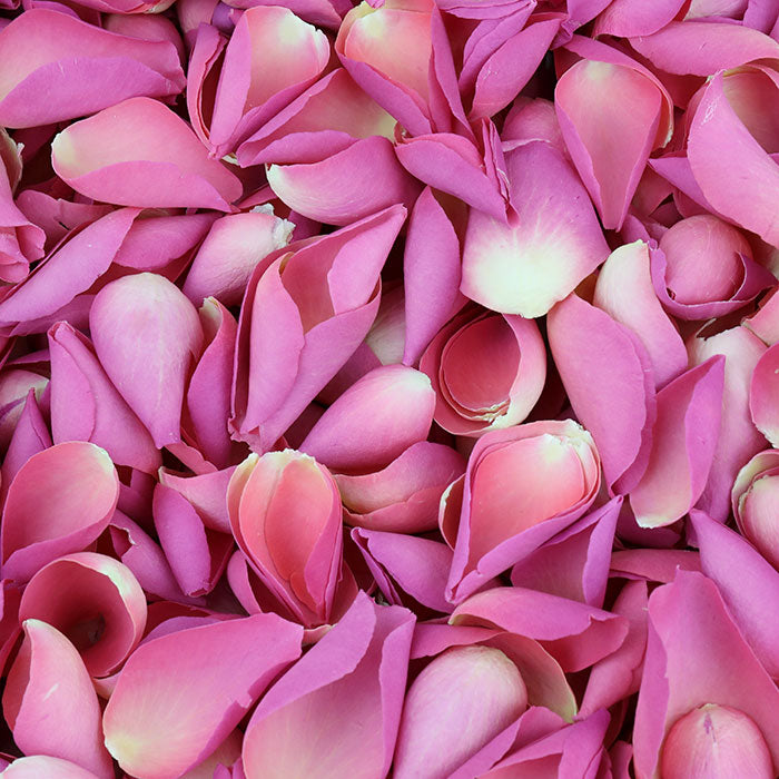 Flower girl petals best sale