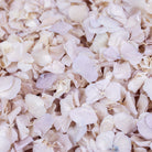 PETAL-SWATCH-SP-Lilac-Haze-Hydrangea-LP-700px-web.jpg